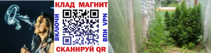 Купить Торопец Кокаин  APVP  ГАШИШ  Метадон  МЕФ 