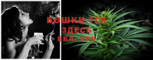 сатива Богданович