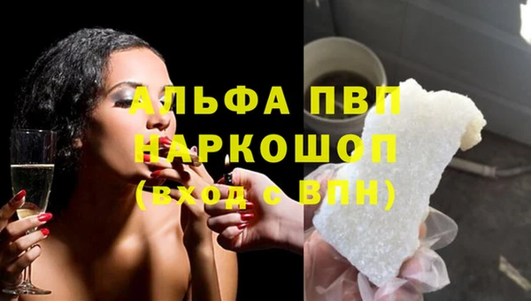 сатива Богданович