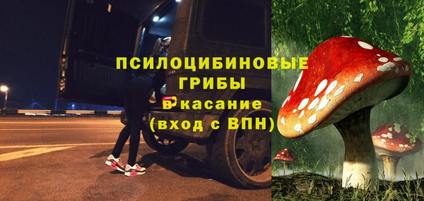 сатива Богданович