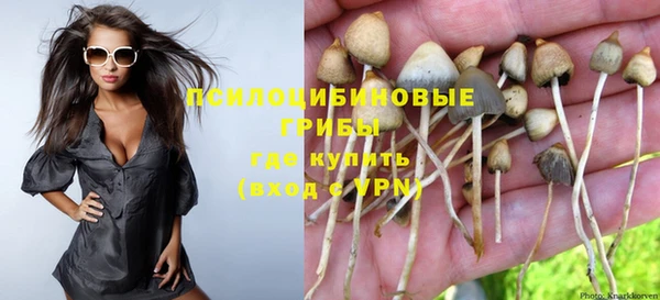 мдма Богородск
