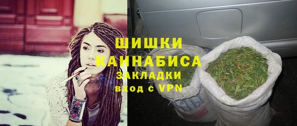 сатива Богданович