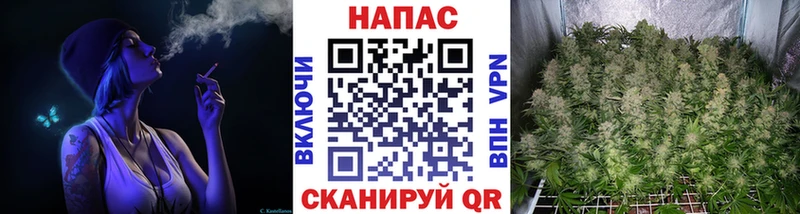 как найти   Торопец  Шишки марихуана индика 
